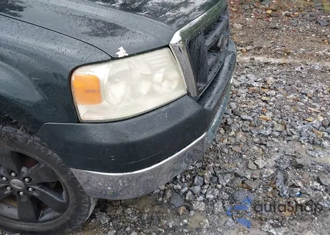 2005 Ford F-150 Stx/Xl/Xlt z USA, uszkodzony, nr VIN 1FTRX12W05NA13318